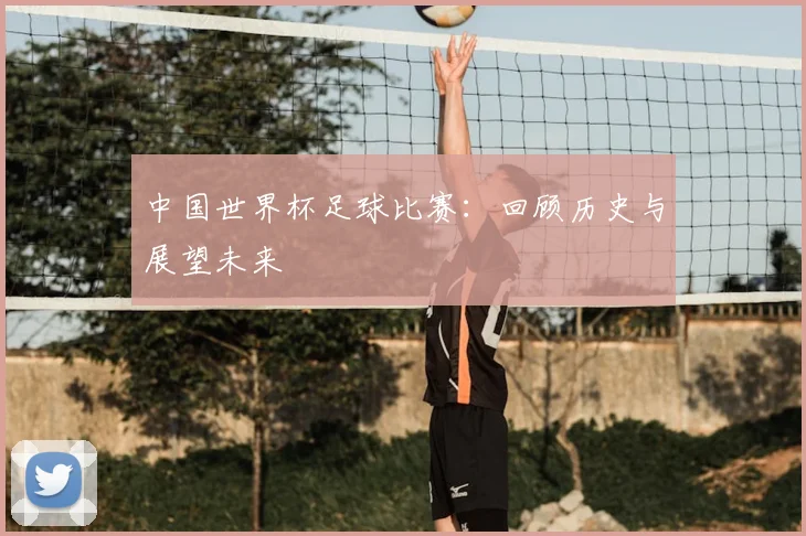 中国世界杯足球比赛:回顾历史与展望未来