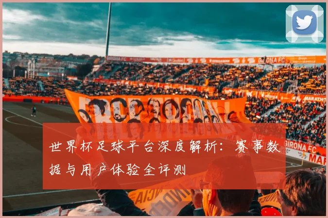 世界杯足球平台深度解析：赛事数据与用户体验全评测