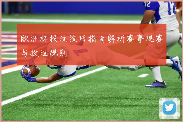 欧洲杯投注技巧指南解析赛事观赛与投注规则