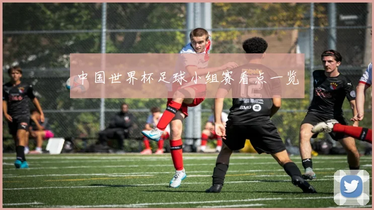 中国世界杯足球小组赛看点一览