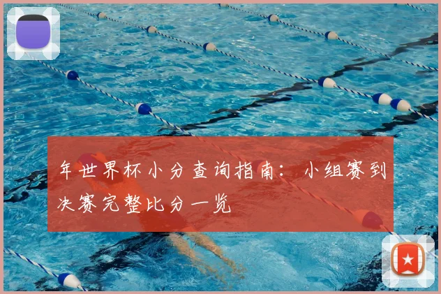 年世界杯小分查询指南:小组赛到决赛完整比分一览