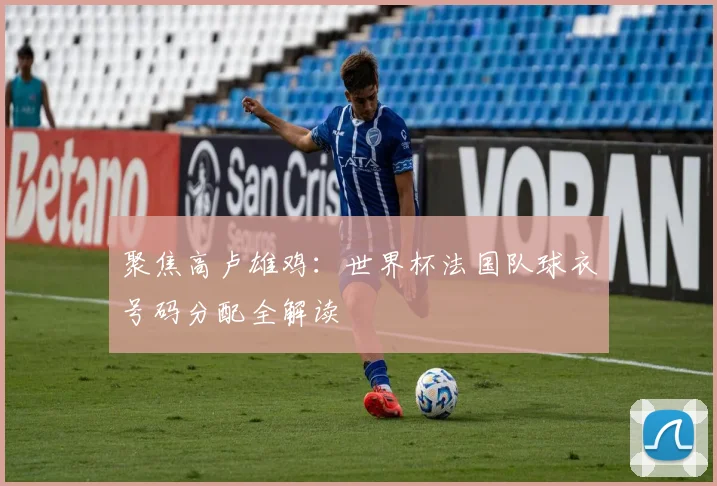 聚焦高卢雄鸡：世界杯法国队球衣号码分配全解读
