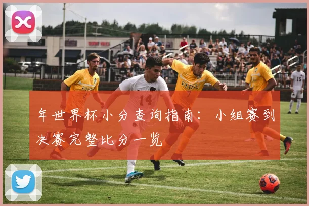 年世界杯小分查询指南:小组赛到决赛完整比分一览