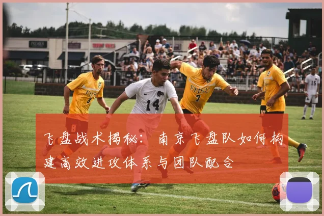 飞盘战术揭秘:南京飞盘队如何构建高效进攻体系与团队配合