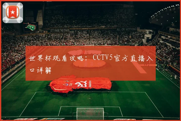 世界杯观看攻略：CCTV5官方直播入口详解