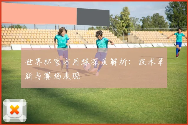 世界杯官方用球深度解析：技术革新与赛场表现