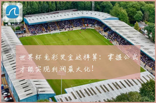 世界杯竞彩奖金这样算:掌握公式才能实现利润最大化!