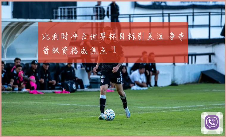 比利时冲击世界杯目标引关注 争夺晋级资格成焦点_1