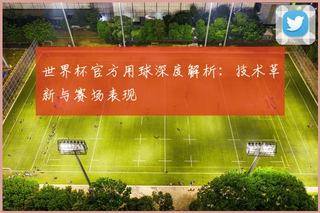 世界杯官方用球深度解析：技术革新与赛场表现