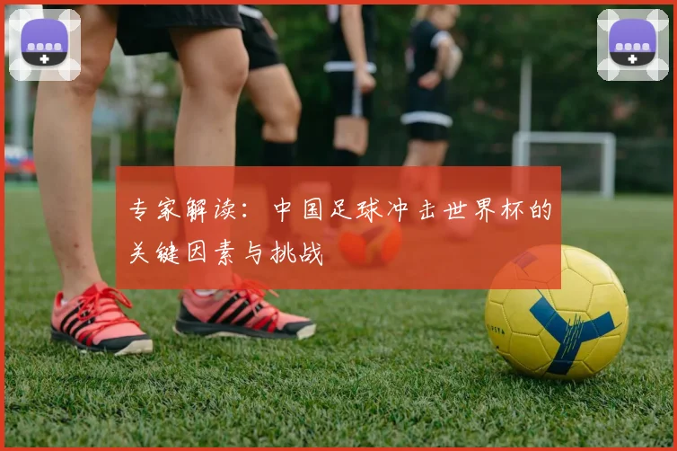 专家解读:中国足球冲击世界杯的关键因素与挑战