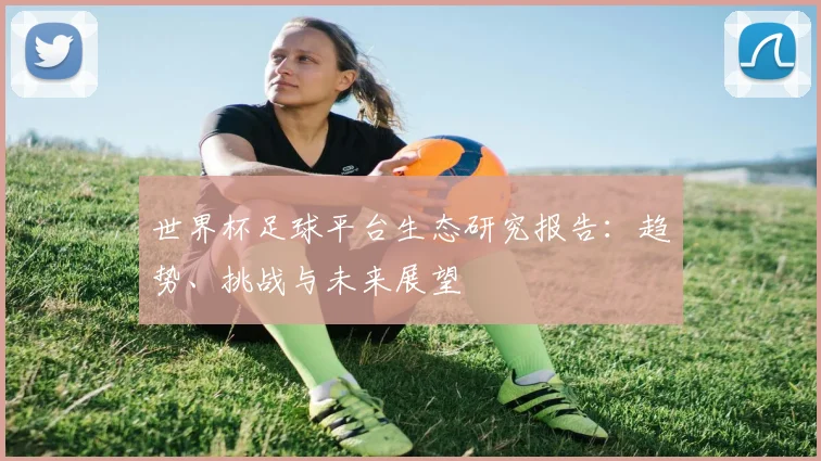 世界杯足球平台生态研究报告:趋势、挑战与未来展望